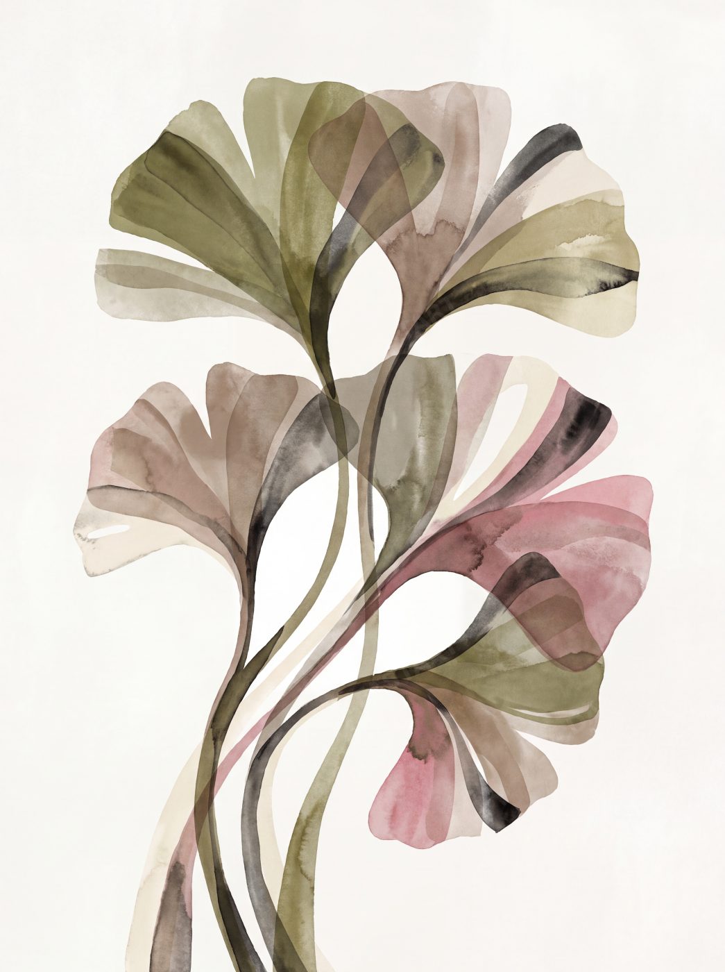 Ginkgo Study — full preview