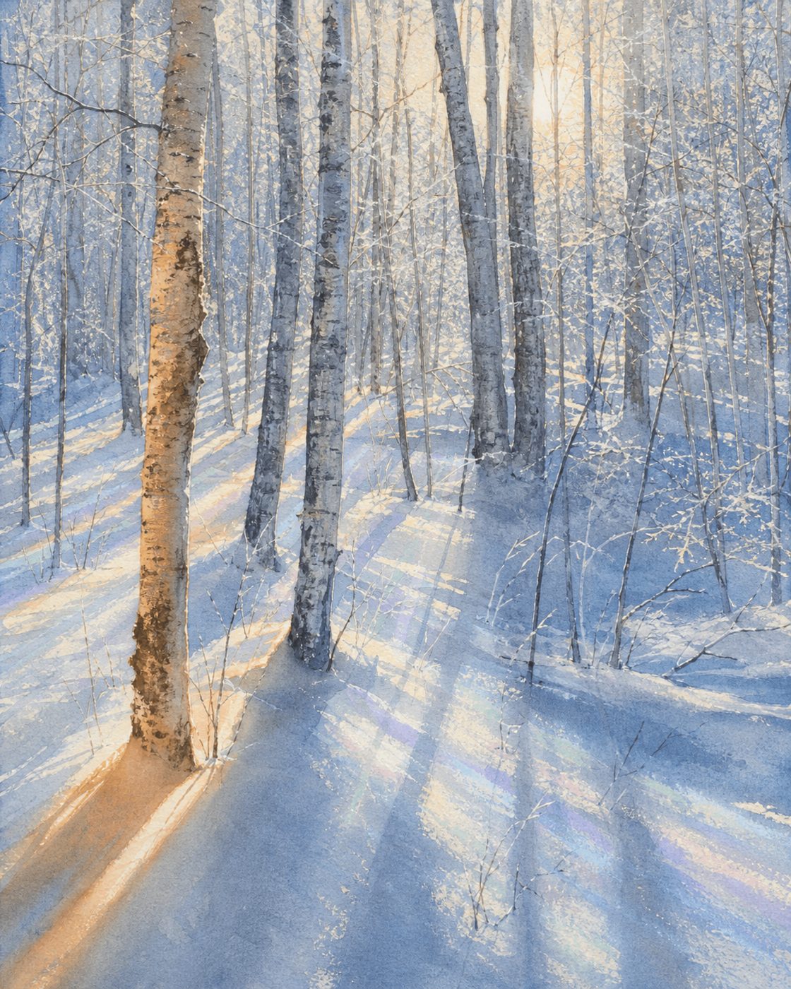 Winter Light Warm Shadow — full preview