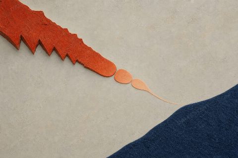 Safety Edge Lowers Voice — printable digital art preview