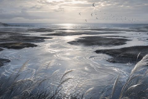 Silver Estuary — printable digital art preview
